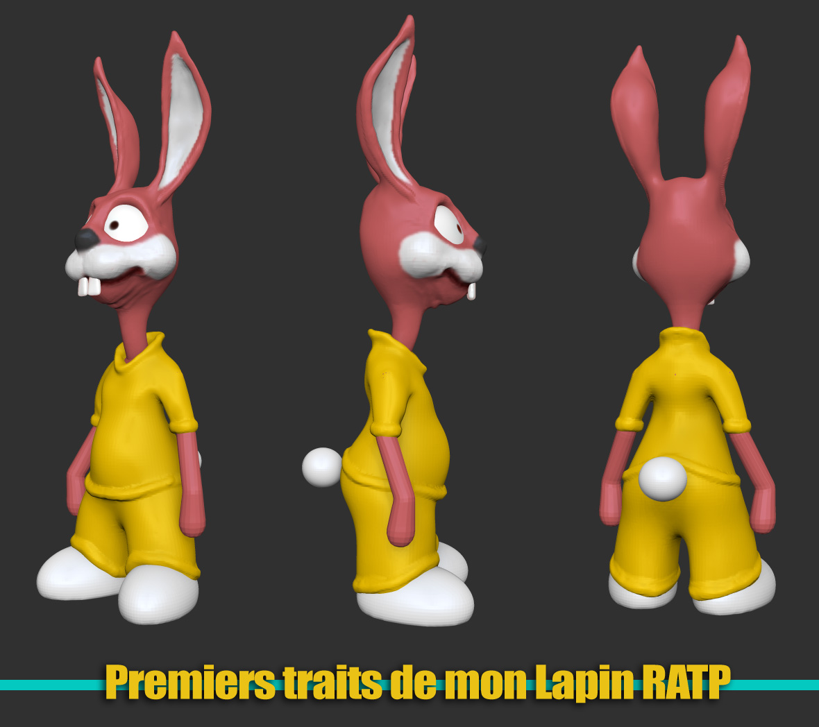 lapin.jpg
