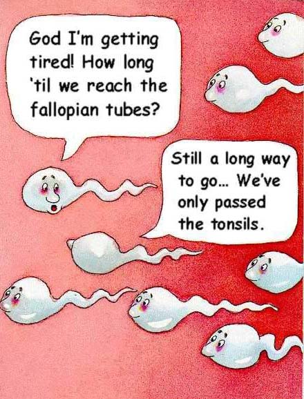sperm0.jpg