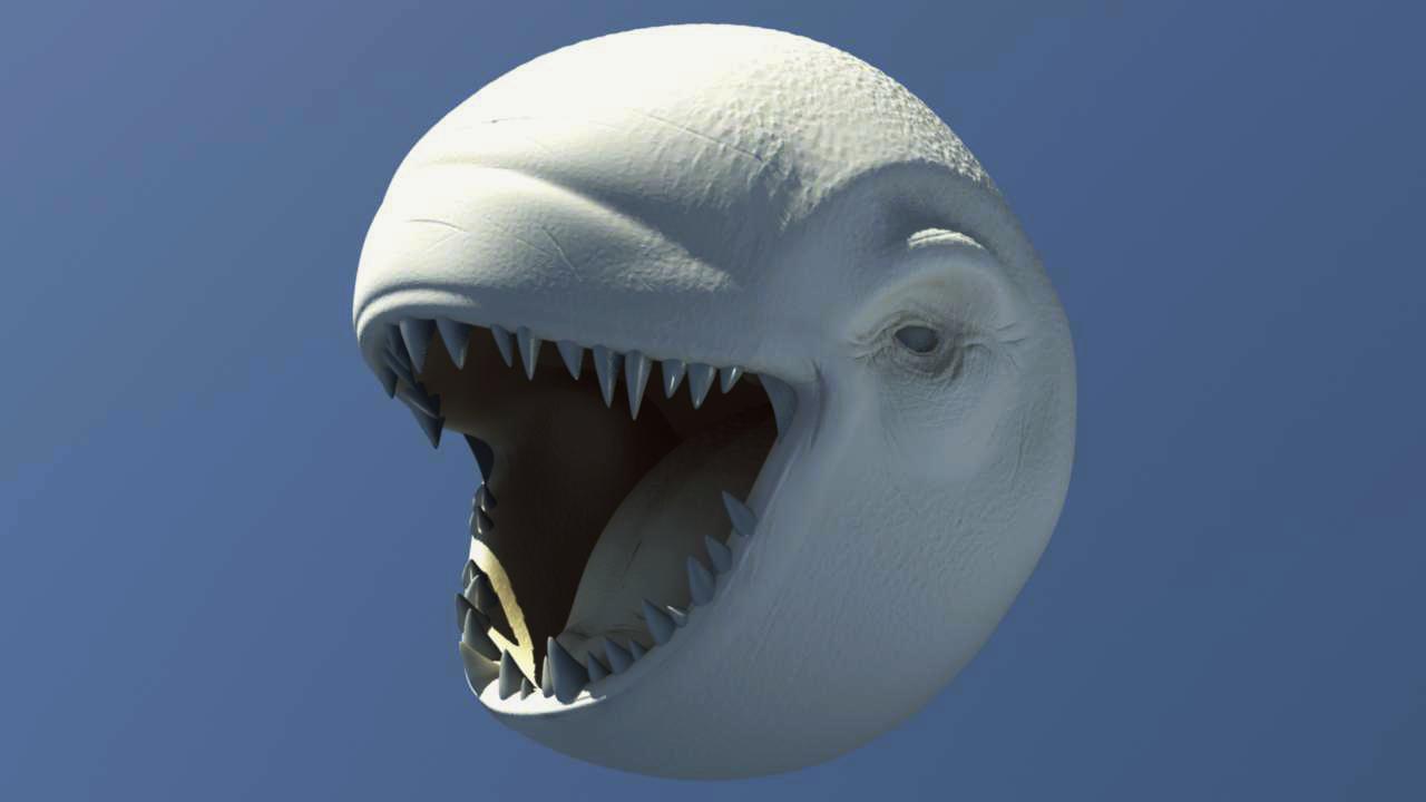 WakkaWakka6.JPG