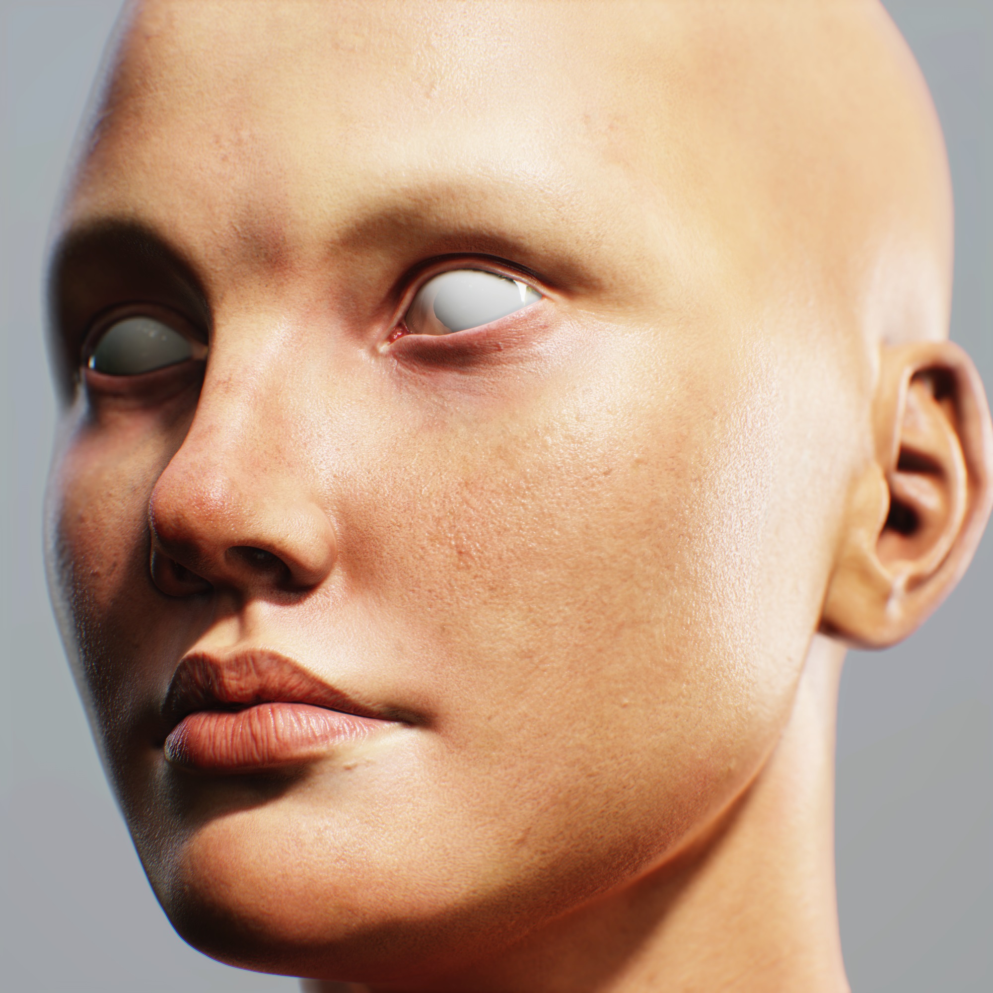 screenshot004.jpg