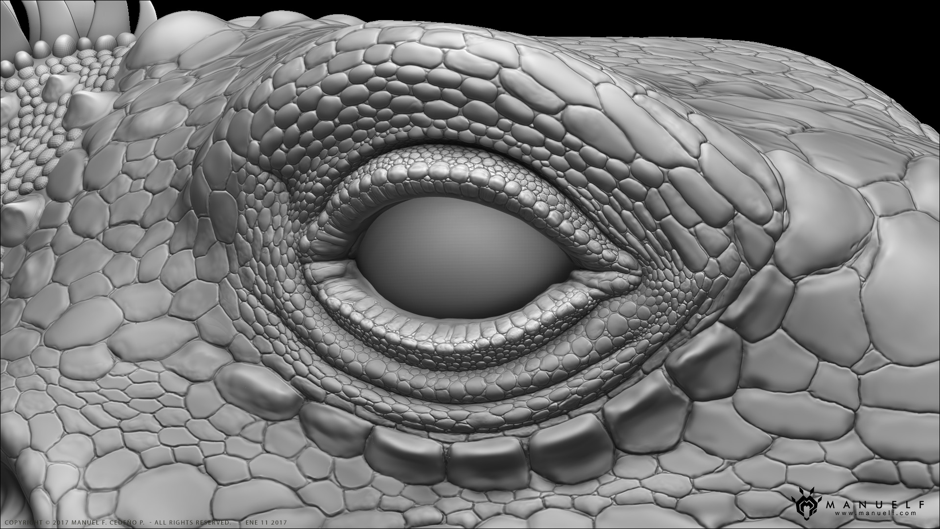 Manuelf_Iguana_EyeZoom_lg.jpg