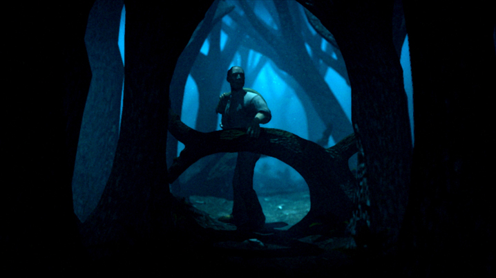 between_trees_small.jpg