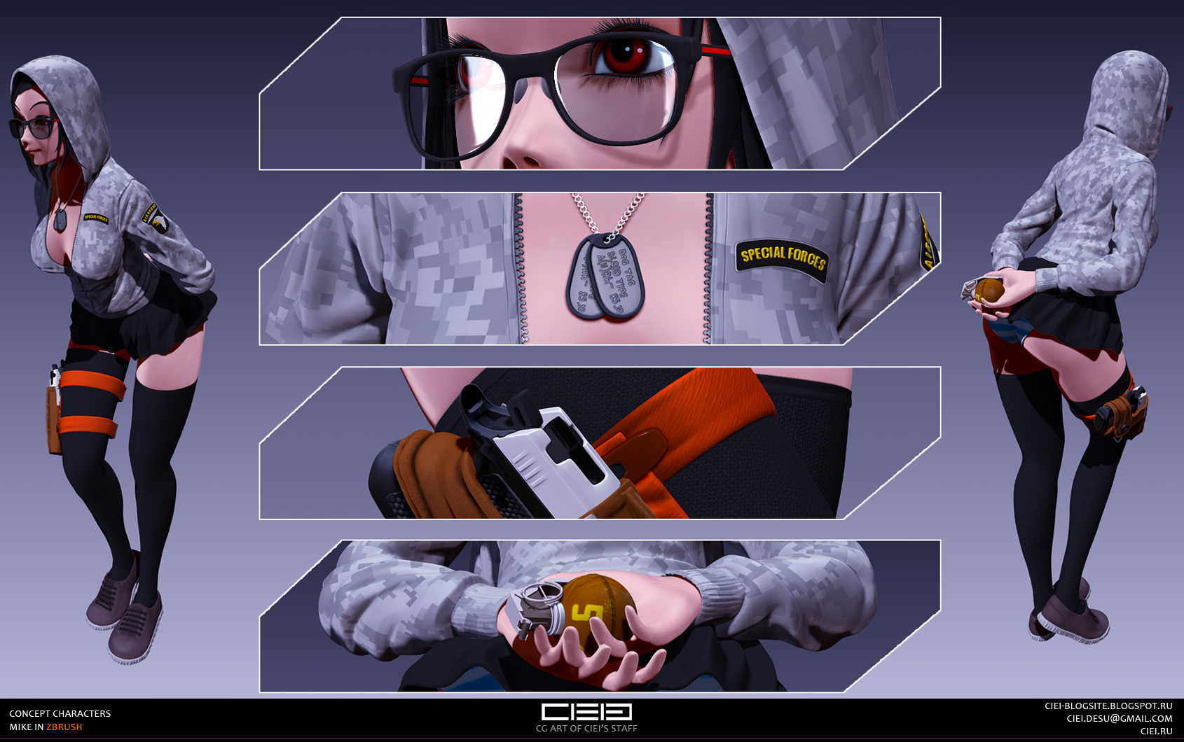 1c.jpg