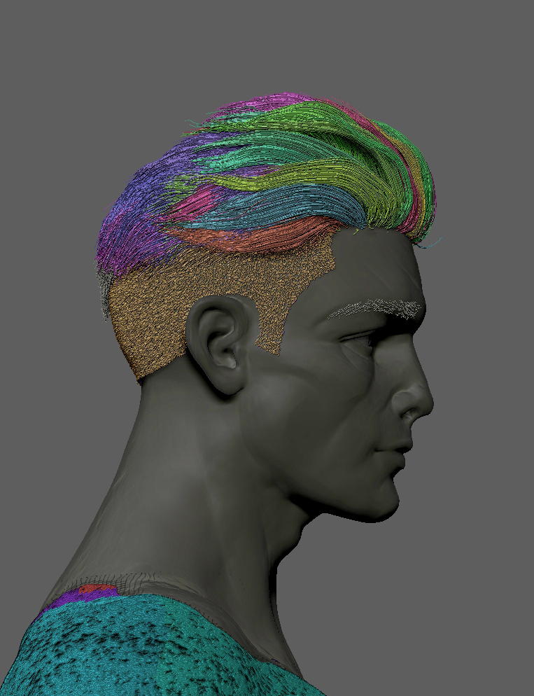 zbrush_screenshot_with_hair_side.jpg