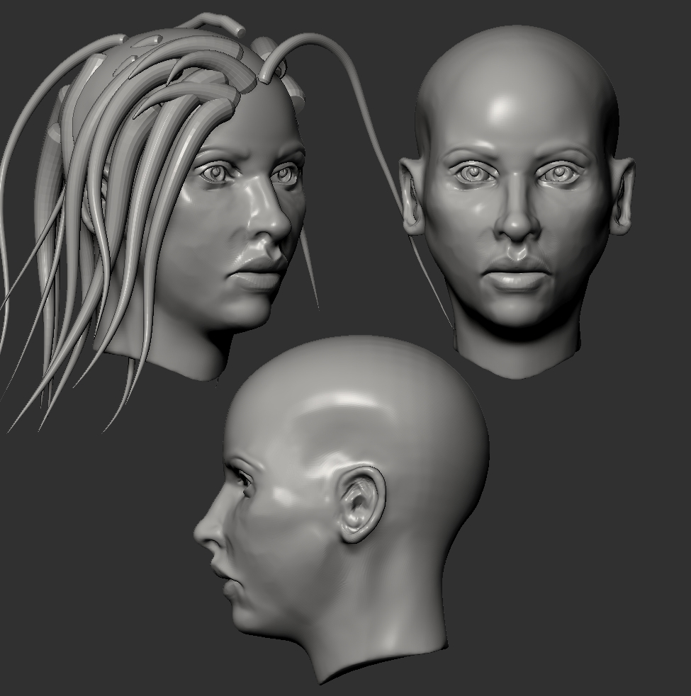 head-study-2.jpg