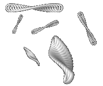helix.gif