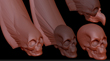 SKULL MORPHS 2.jpg