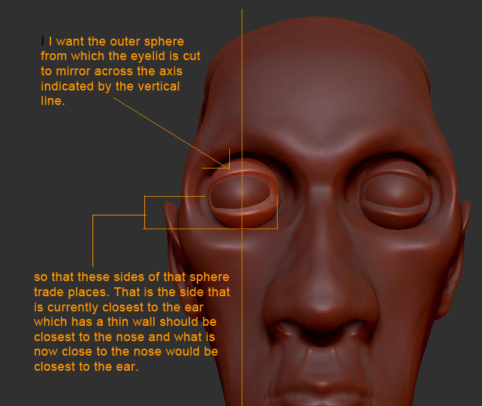 eyeballs_01A.jpg