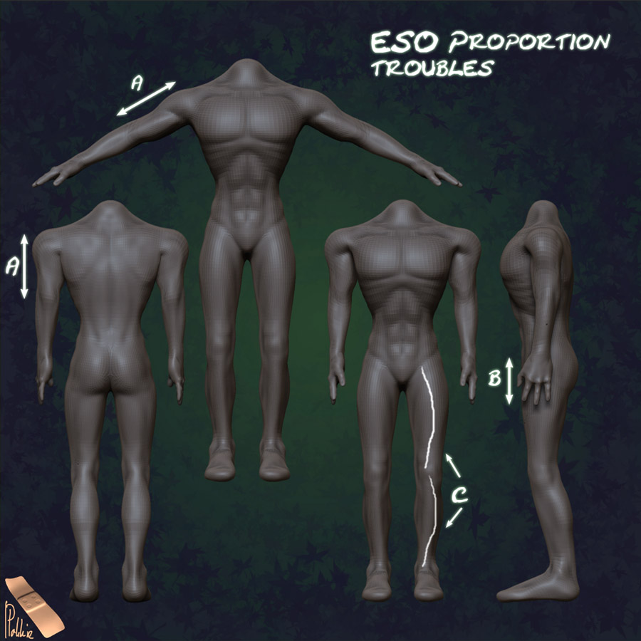 Proportions2.jpg
