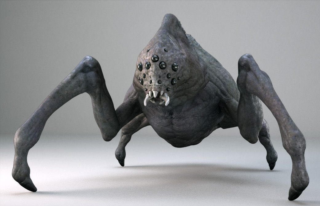 spider3.jpg