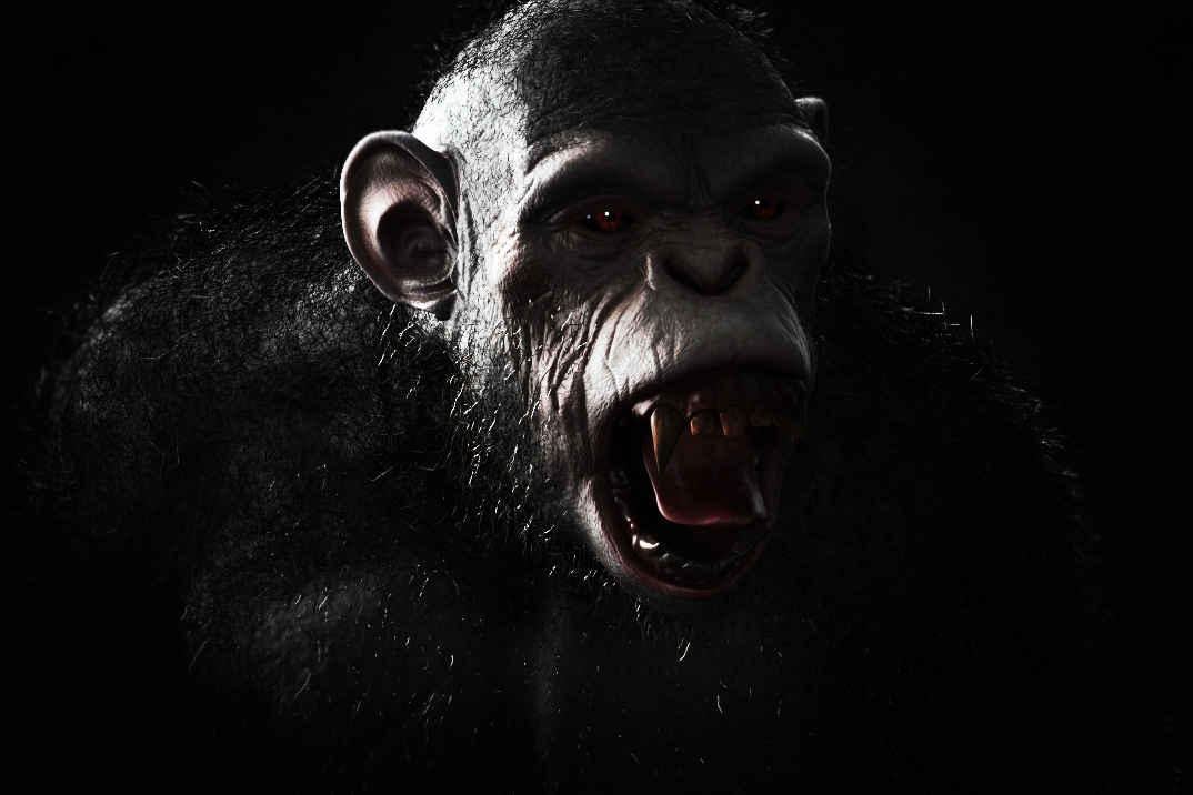 chimp12.jpg