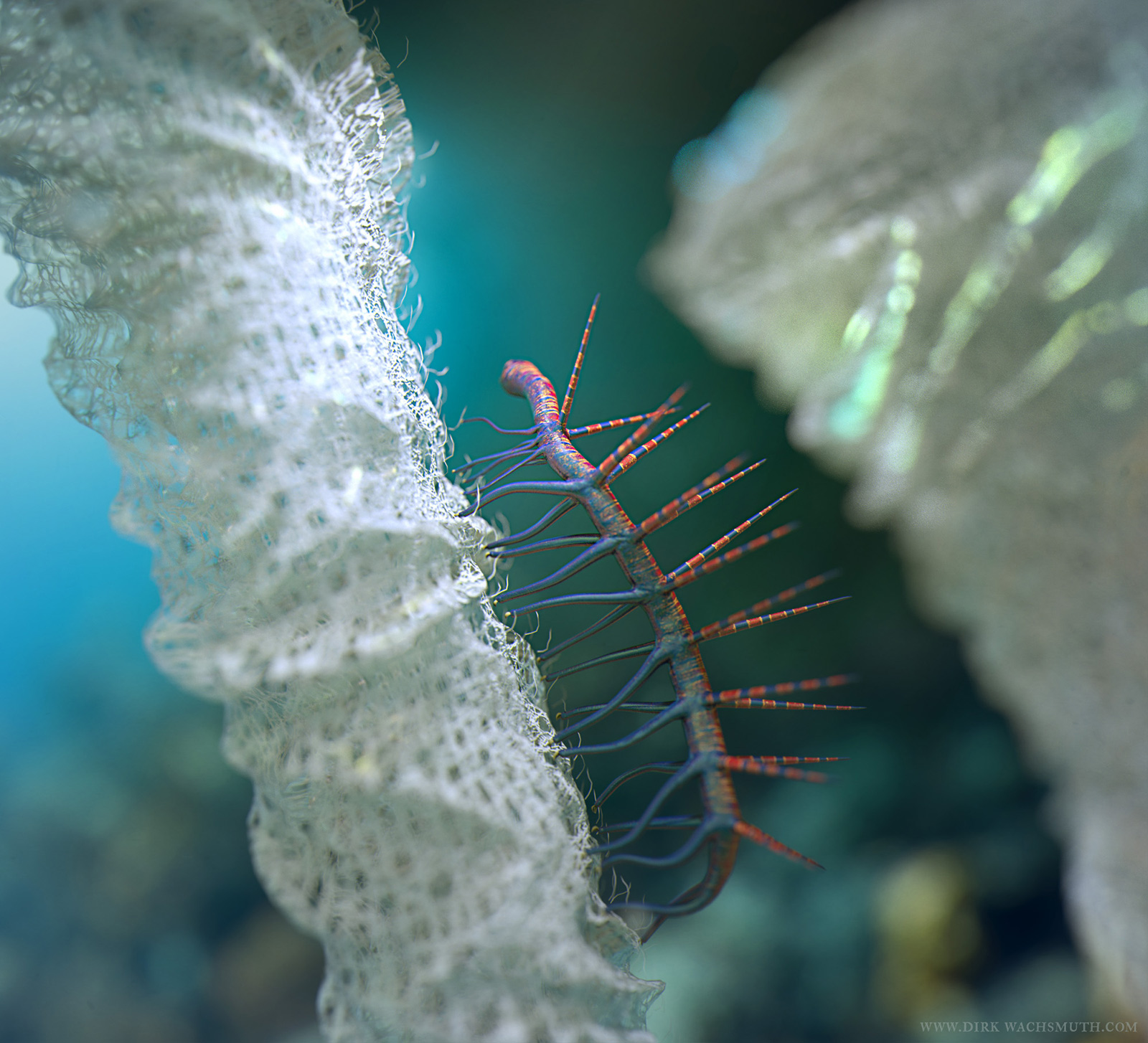 hallucigenia_render_2_dirkwachsmuth_zbc.jpg