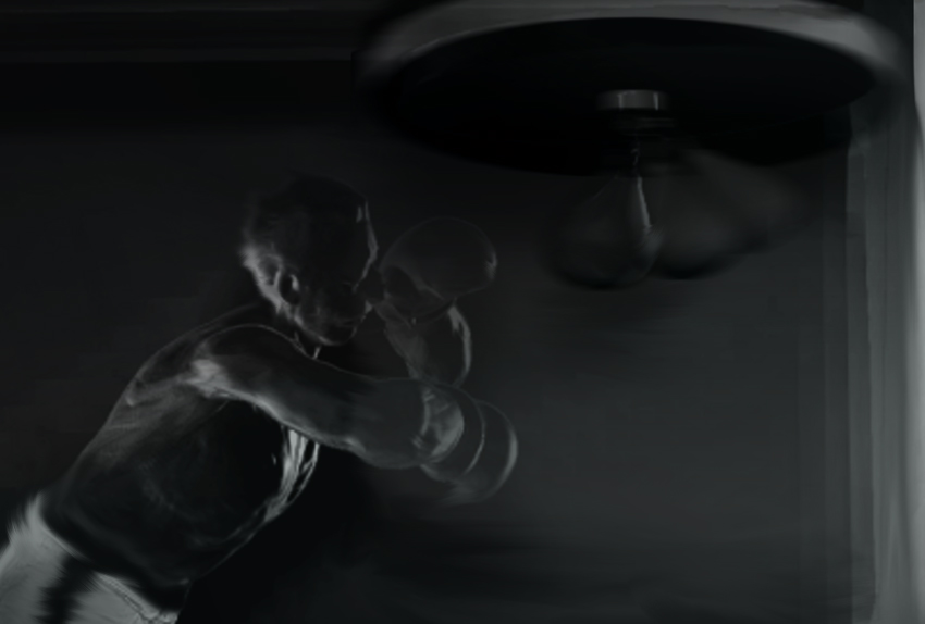 BOXER GYM 5 K.jpg