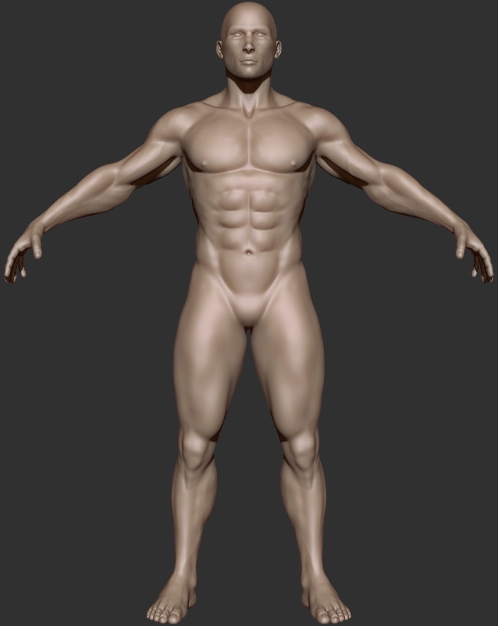 muscular guy_front.jpg