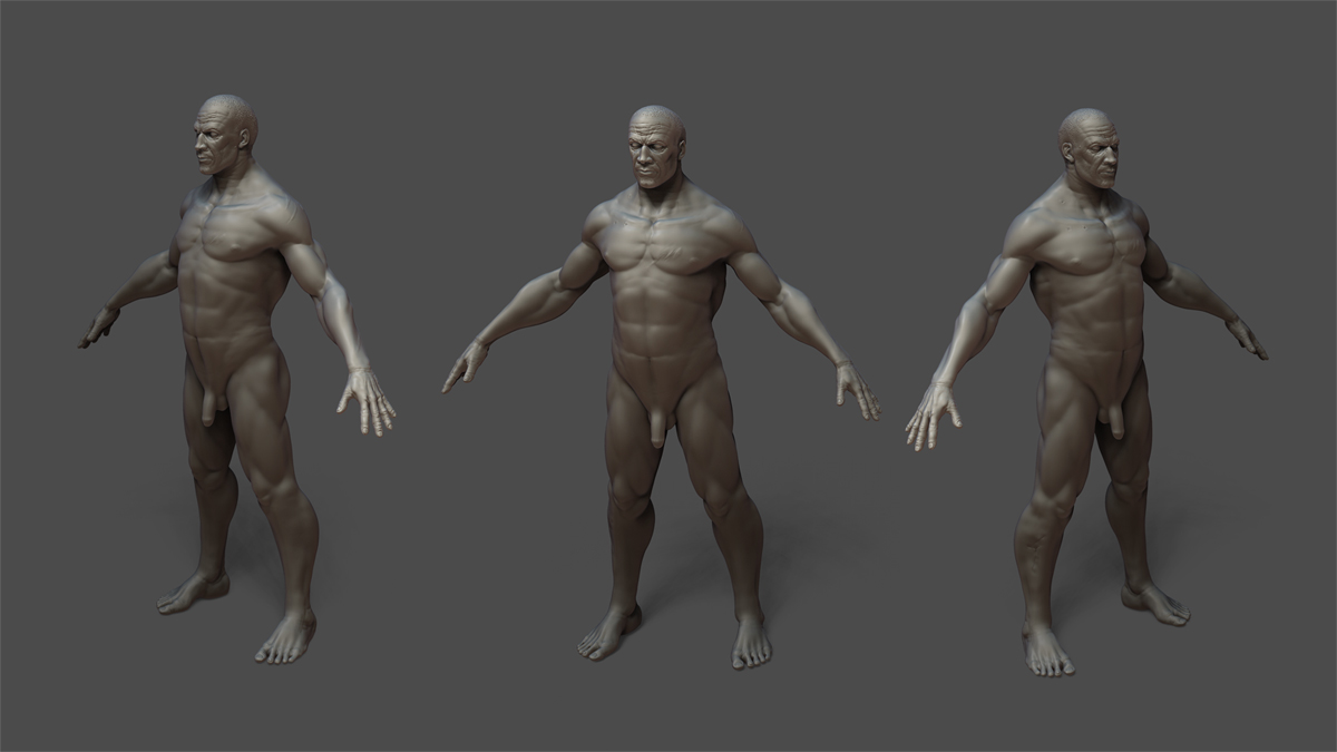 MaleAnatomy_2.jpg