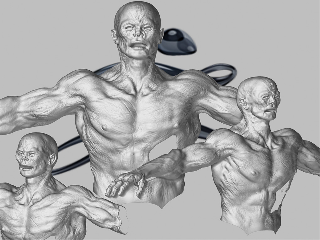 Strogg_rotated31020.jpg