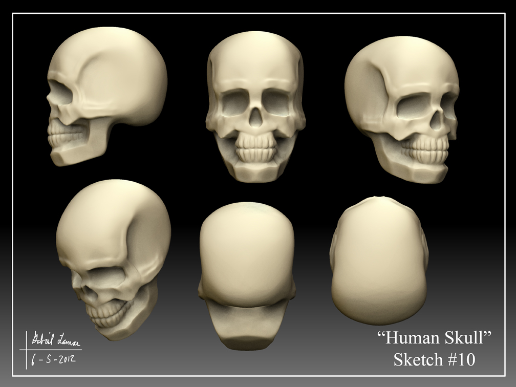Human_Skull_Sketch_10.jpg
