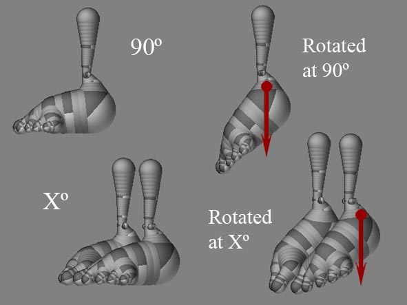 feet copy.jpg