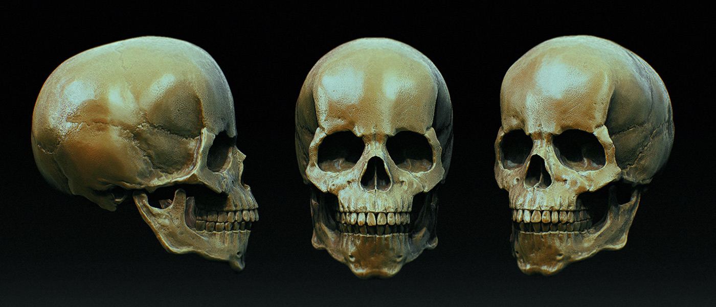 skull_v04.jpg