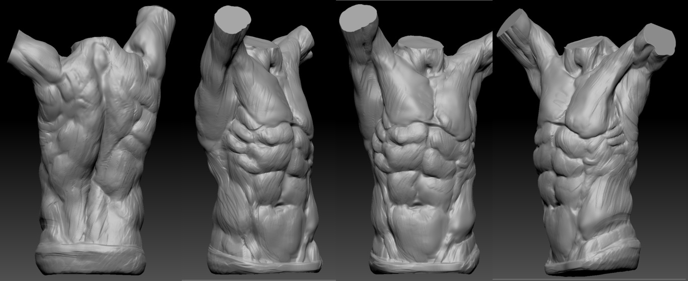 Torso_Week_1.jpg