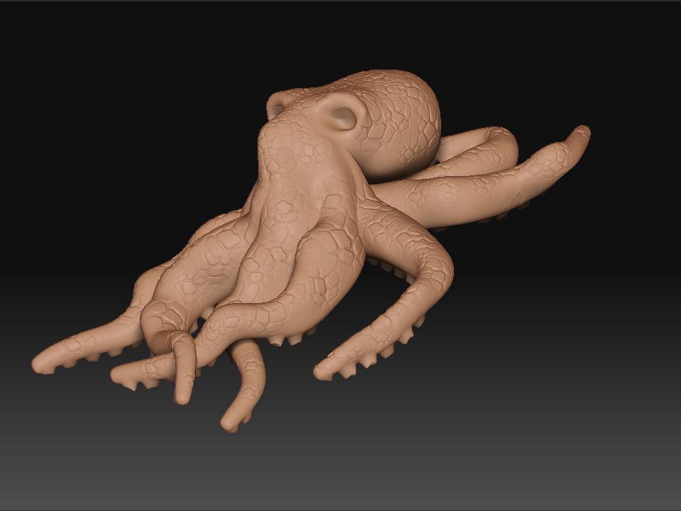 octupus02.JPG
