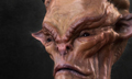 THUMB.jpg
