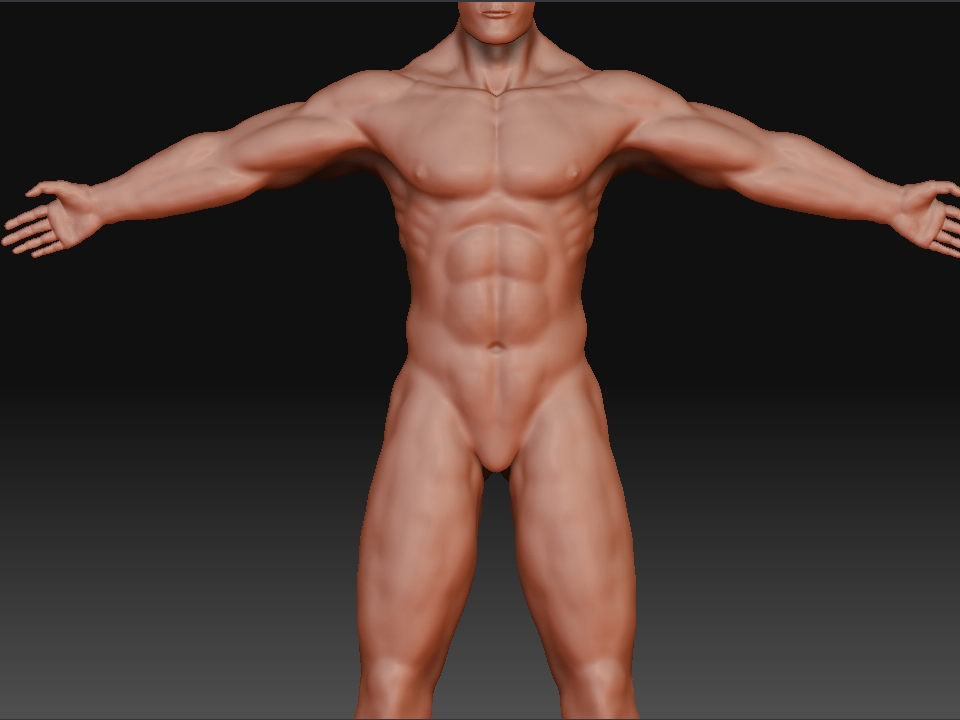 body.JPG