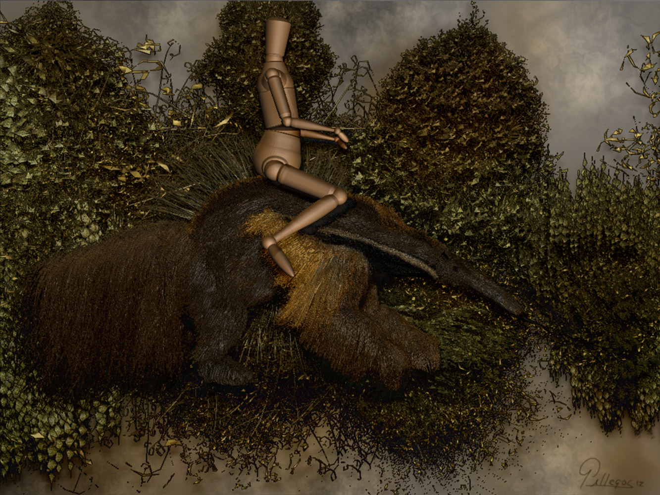 GIANT-ANTEATER-12.jpg