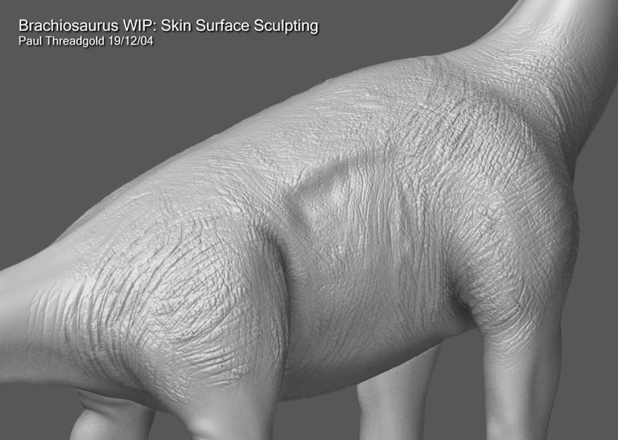 detailwip.jpg