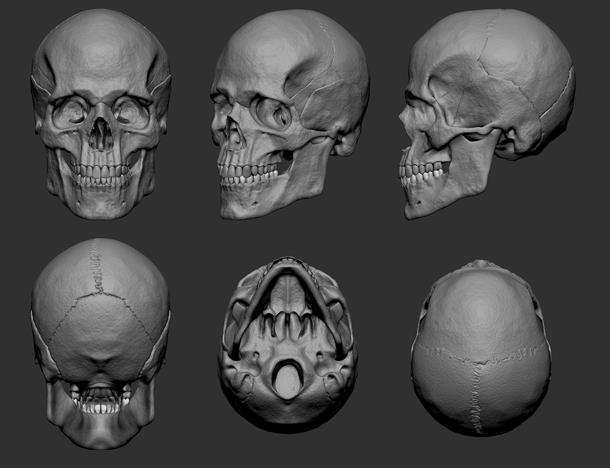 Imagens_Cranio.jpg