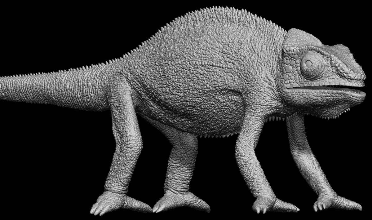 chameleonbody.jpg
