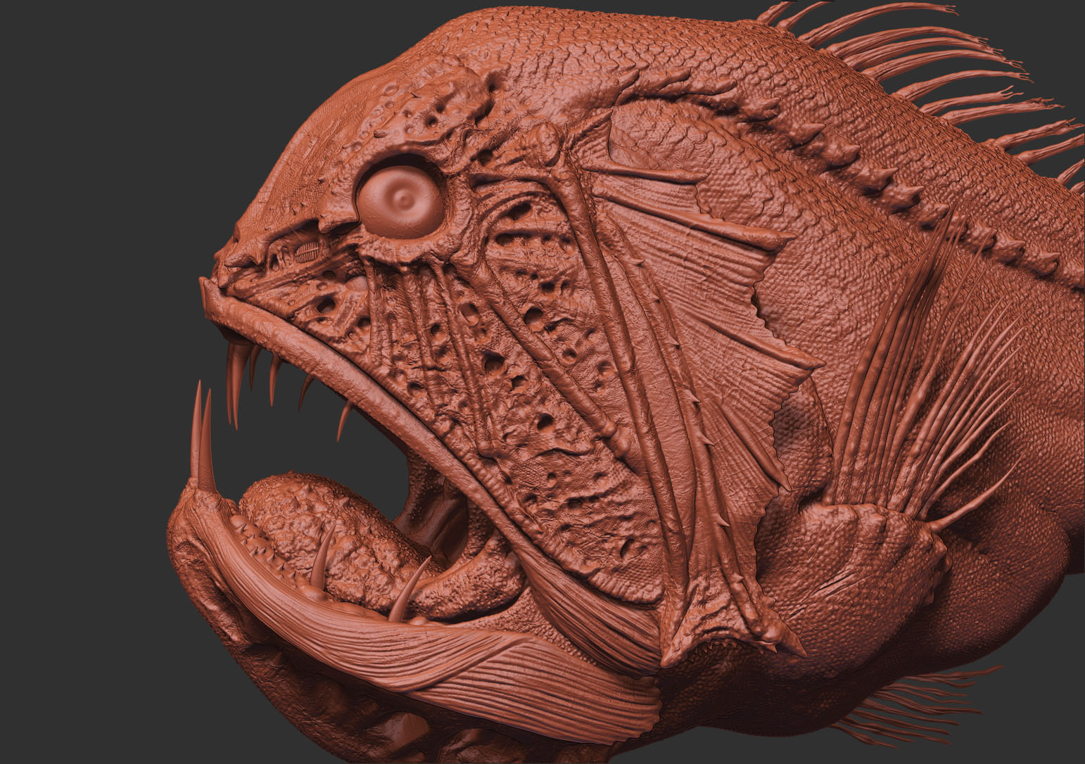 Fangtooth_003.jpg