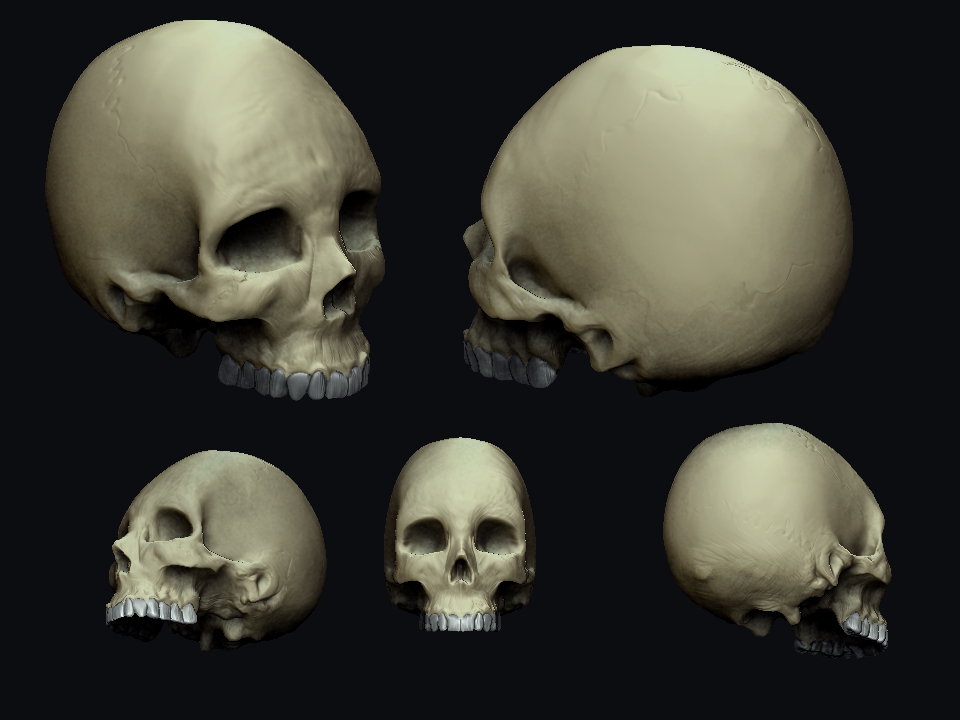 SKULL.jpg