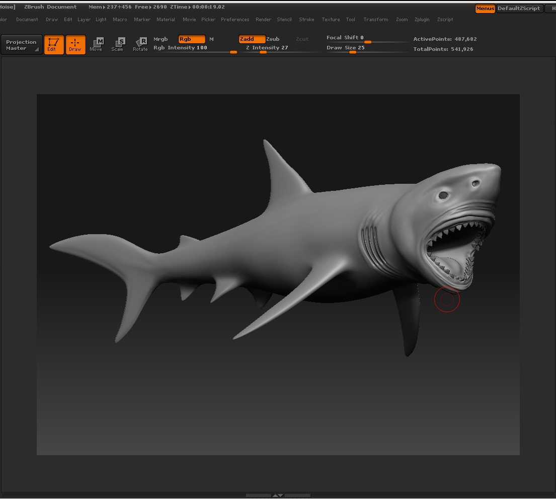 shark2.jpg