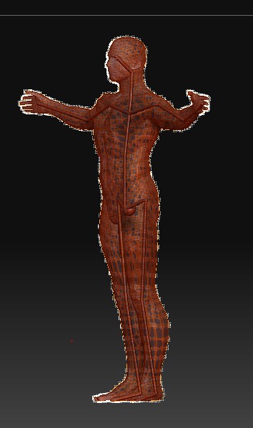 zbones.jpg
