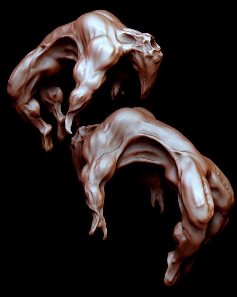 spine02.jpg