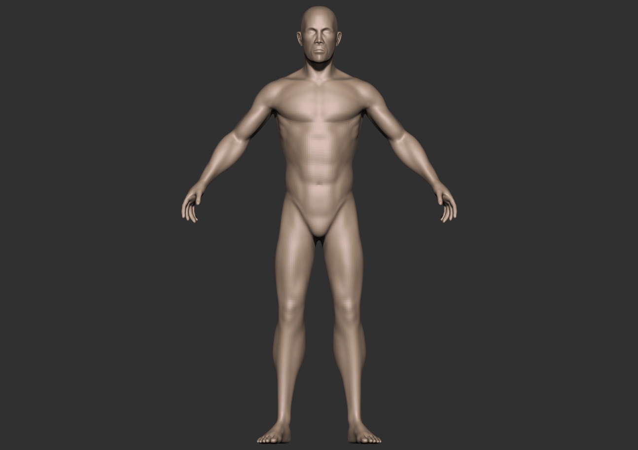 male anatomy_front.jpg