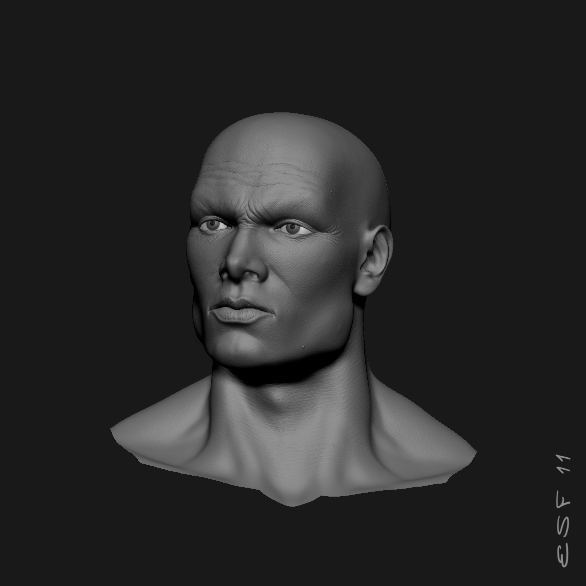 LeChevalier_1174x1174_BasicShader_Head_1.jpg