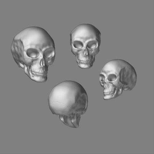 Skull.jpg