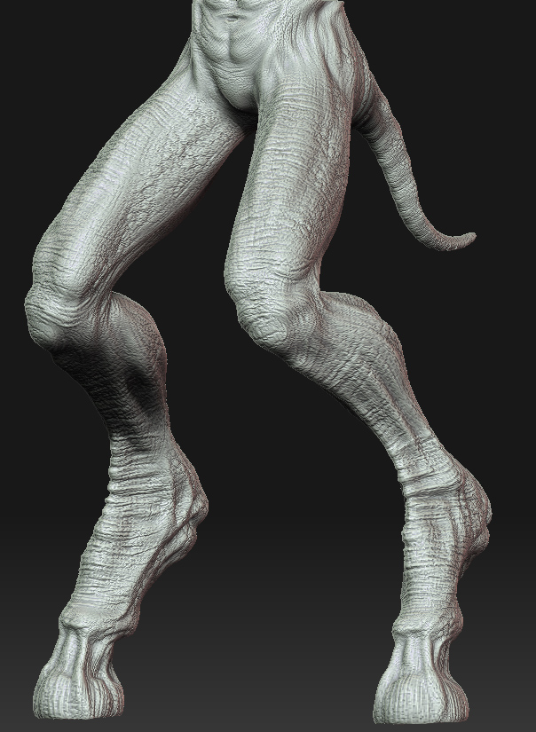 Legs_Front.jpg