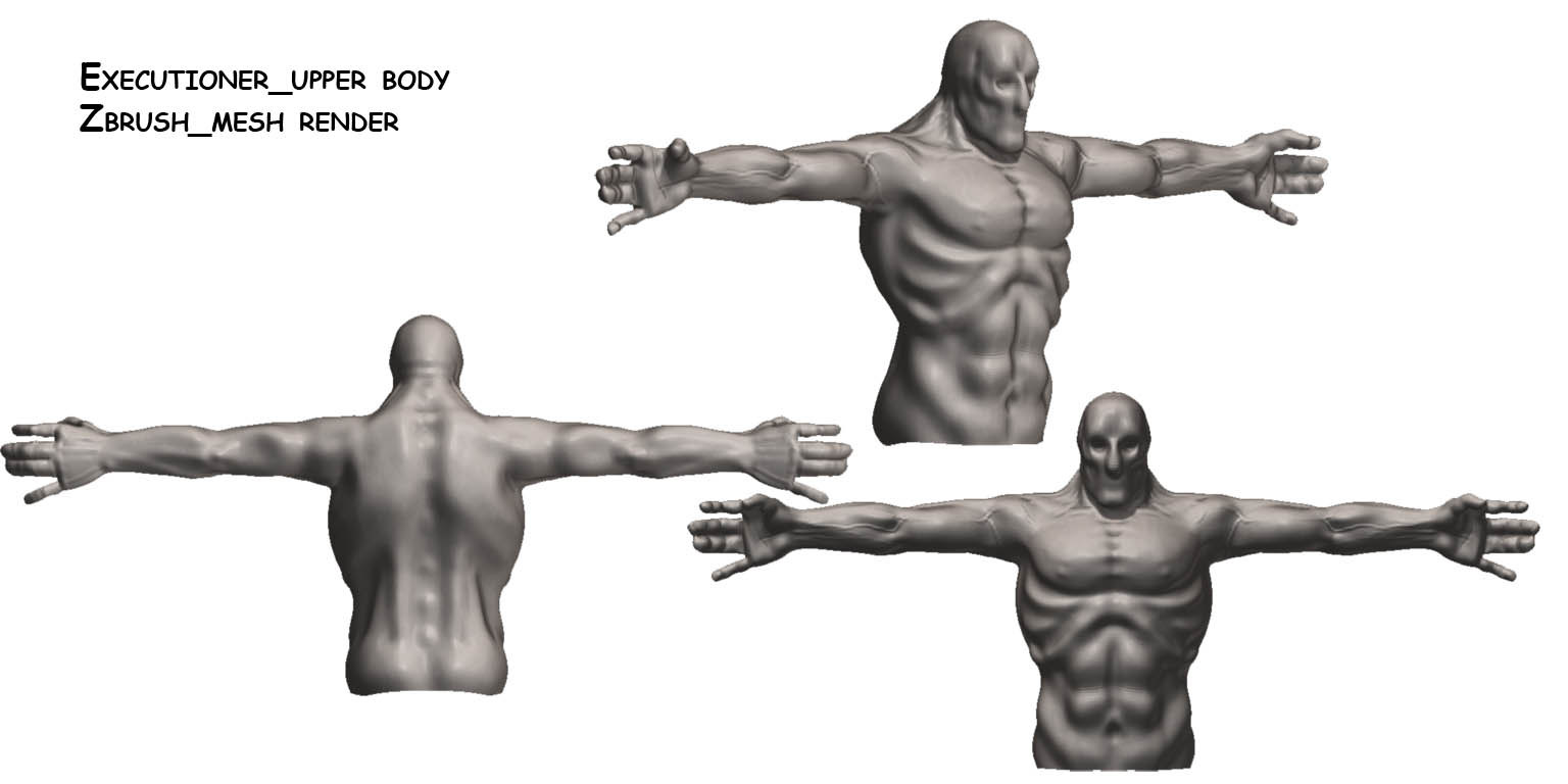 Compile_execut_upper zmesh.jpg