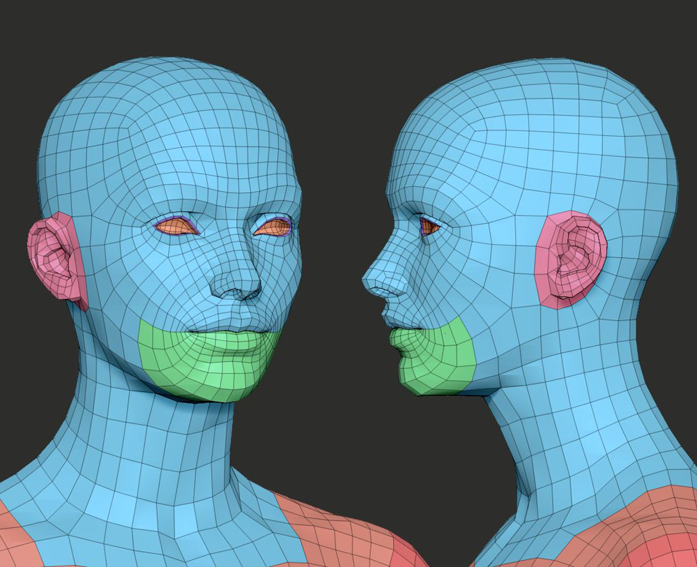 Wire_Head_Female.jpg