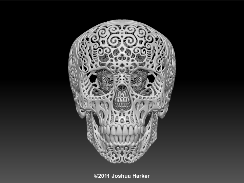 double_front-lg.jpg