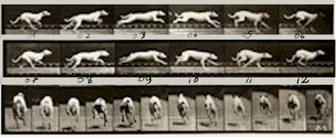 locomotion.jpg