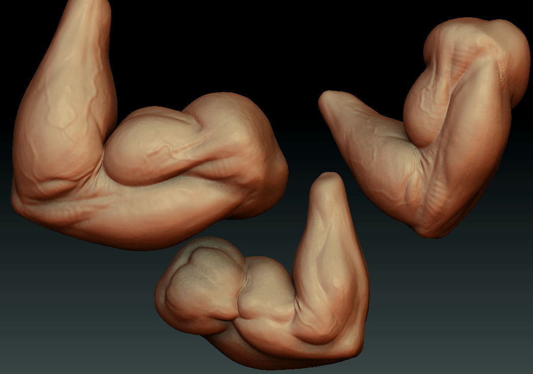 musculararm.jpg