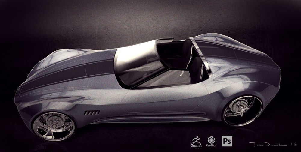 birdviewcobra3.jpg