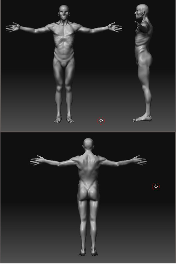 kellerMAnatStudy1.jpg