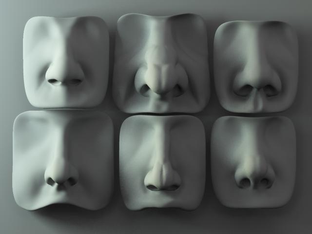 Nose_1.jpg