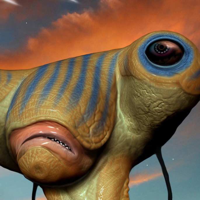 eye.jpg