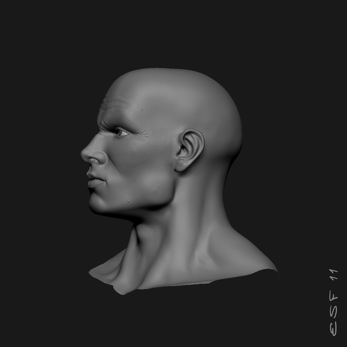 LeChevalier_1174x1174_BasicShader_Head_3.jpg